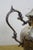 Vintage Birmingham Silver Co Plated Tea Set Tilting Kettle Sugar Creamer - 5 Pieces For Sale - Image 10 of 18