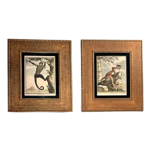 Pair Original Hand Colored Engravings, Georges-Louis Leclerec, Comte De Buffon, Paris 1749.