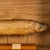 Antique Victorian Taxidermy Brown Trout Display Case William Hope Scotland 1890 For Sale - Image 11 of 12