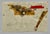 Marty Greenbaum, Pop Art Brut Collage Mixed Media Print, Painting, Burning, Tape, Marty Greenbaum For Sale - Image 15 of 15