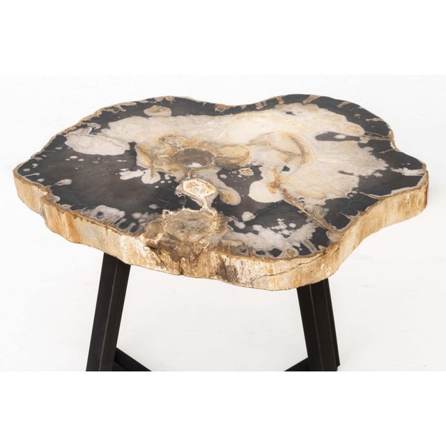 Contemporary Contemporary Petrified Wood Side Table For Sale - Image 3 of 10