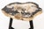Contemporary Contemporary Petrified Wood Side Table For Sale - Image 3 of 10