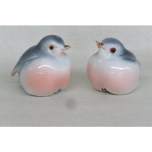 Vintage Bone China Baby Bird Salt and Pepper Shakers Set 4500b For Sale - Image 4 of 9