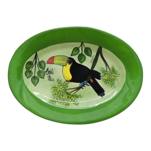 Hand-Painted Decorative Plate Depicting a Tucan For Sale