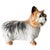 Vintage mid-century Imoto Nagoya Collection Yorkshire Terrier Ceramic Figurine from the 1960s. Bring a touch of charm into...