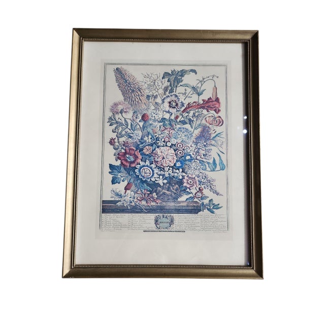 Striking pair of reproduction floral prints, originally designed by Peter Casteels (Flemish 1684-1749), engraved by H....