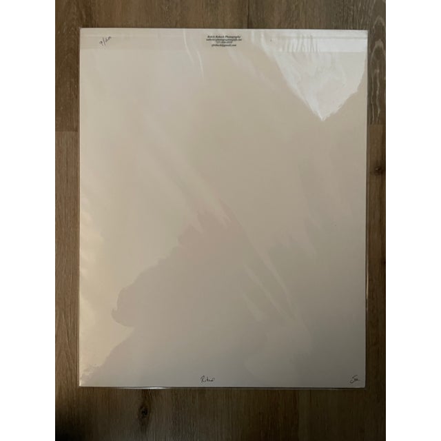 White Contemporary Lot of 3 New Matted B&w Original Photographs Signed by Robin Rebeck For Sale - Image 8 of 16