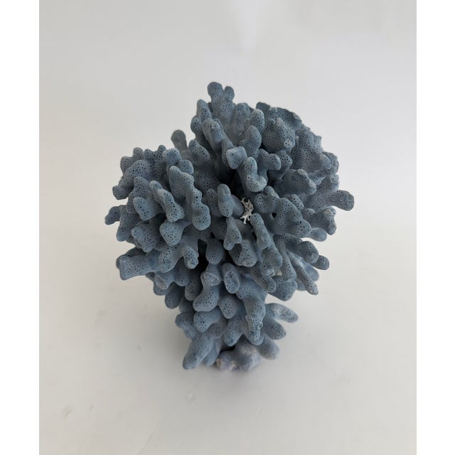 This is a solid and dense natural Blue Coral specimen with cut and polished base to protect surfaces. Each piece is...