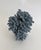 This is a solid and dense natural Blue Coral specimen with cut and polished base to protect surfaces. Each piece is...