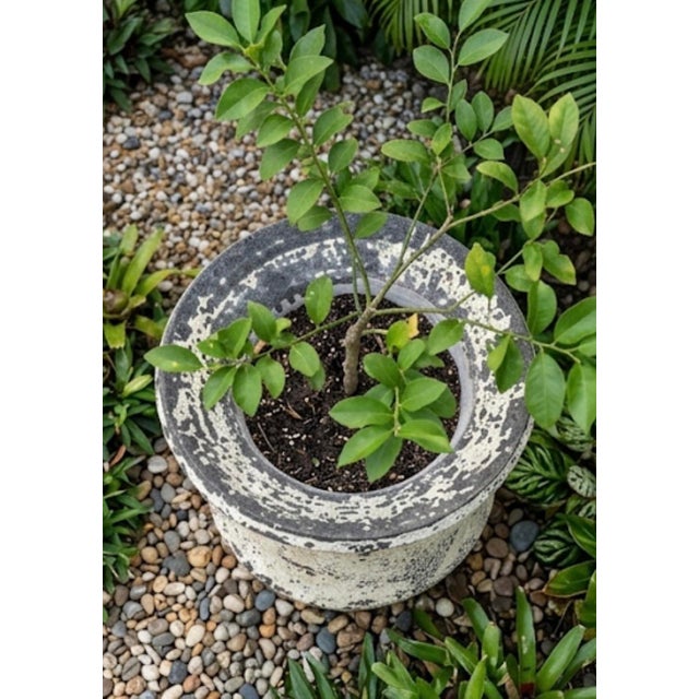 Off-white Vintage Faux-Stone Chipped Resin Garden Planter For Sale - Image 8 of 12