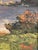 Moretti, Lake Landscape, 20th Century, Oil on Panel For Sale - Image 5 of 7