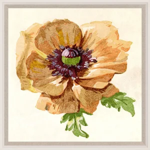 Pignier, Flowerhead 4, Framed Artwork