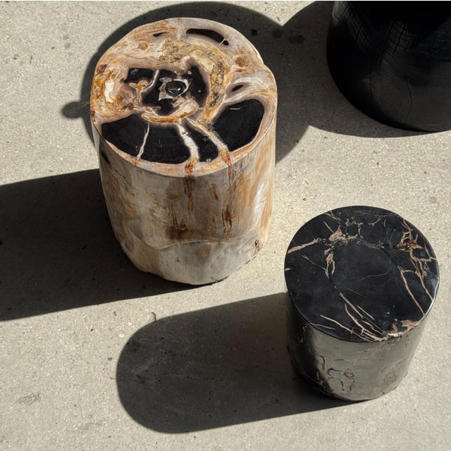 Petrified Wood Side Table For Sale - Image 9 of 18