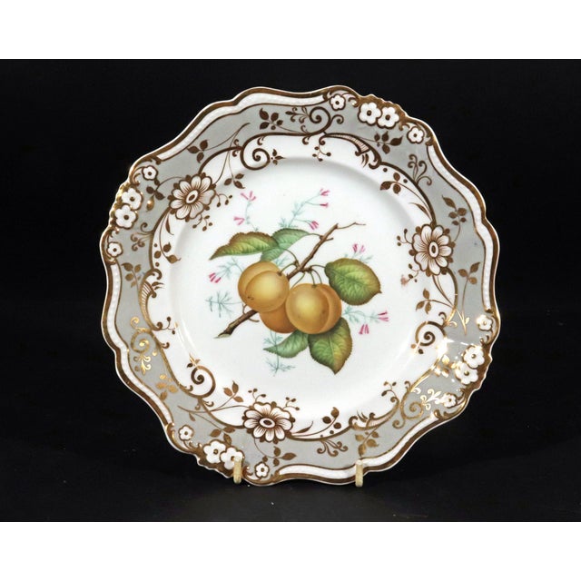 English Porcelain Botanical Fruit Dessert Service, Attributed to Coalport Circa 1830 For Sale - Image 10 of 11