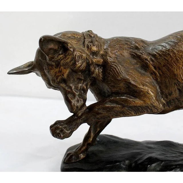 T.F. Cartier, German Shepherd Dog, Early 20th-Century, Bronze For Sale - Image 6 of 18
