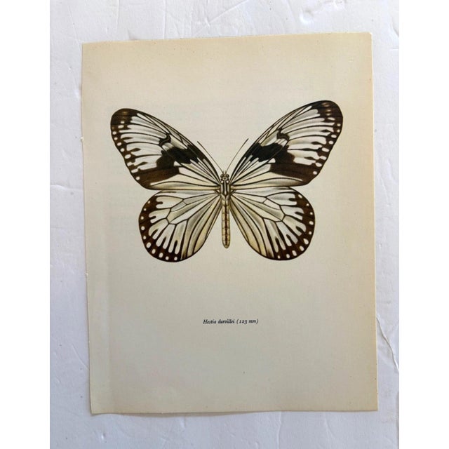 Up for sale is this gorgeous lithograph by F. Prochazka, published in Great Britain in 1965. It is in excellent, gently-...