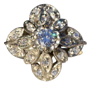 The Crimson Ridge: Ladies Antique 14K White Gold Diamond Princess Ring