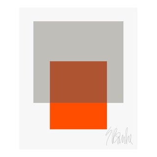 The Interaction of Gray and Orange Fine Art Print 25" X 30" by Liz Roache For Sale