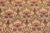 Shabby Chic Hamjolie Pak-Persian Gold/Green Wool Rug - 9'1'' X 12'2'' For Sale - Image 4 of 8