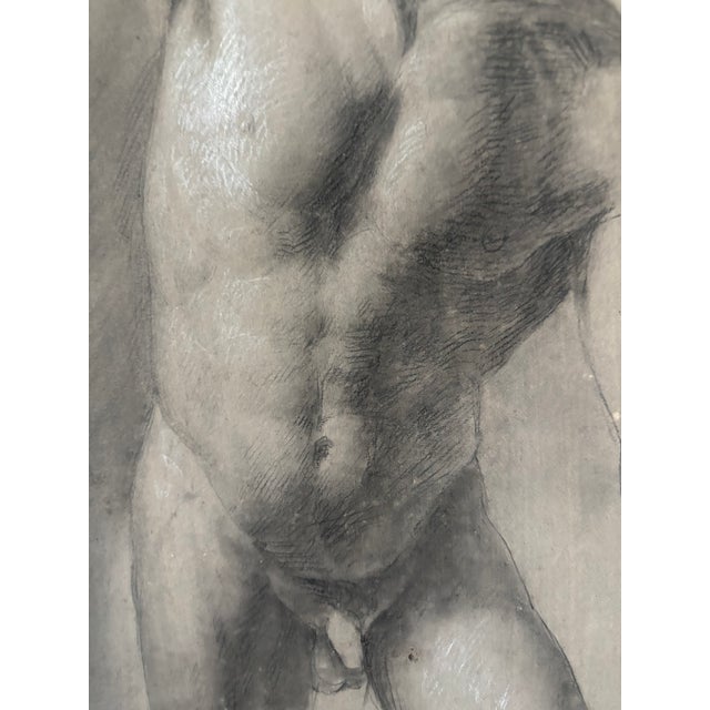 Figurative 1900s Academic Study Nude Male Florentine School - Unsigned Ink For Sale - Image 3 of 8