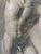 Figurative 1900s Academic Study Nude Male Florentine School - Unsigned Ink For Sale - Image 3 of 8