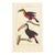 Toco Toucan Lithograph, 1828 | Hand-Colored Antique Bird Print, Buffon For Sale