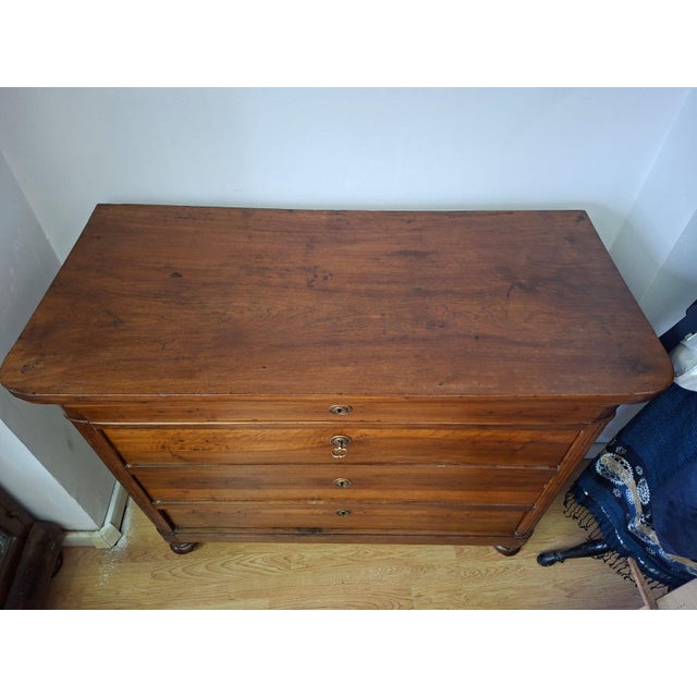 19th Century Piedmontese Walnut Chest of Drawers, 1850 For Sale - Image 6 of 14