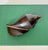 Brown Vintage Large Carved Ironwood Conch Shell Sculpture Objects, a Pair For Sale - Image 8 of 16