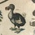 Pair 19th C Hand Colored Engravings of Extinct Species For Sale - Image 4 of 15