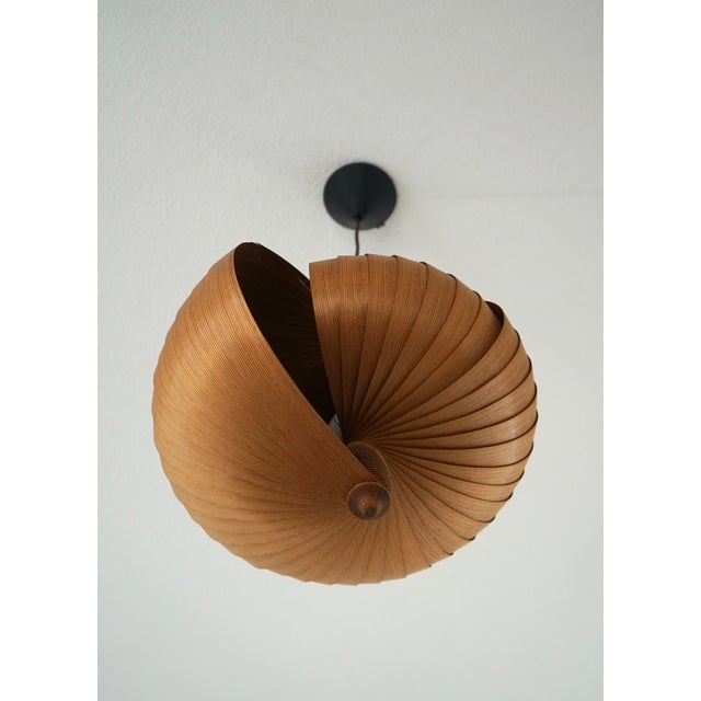 Wood Wooden Nautilus Ceiling Lamp attributed to Hans Agne Jakobsson, 1960s For Sale - Image 7 of 16