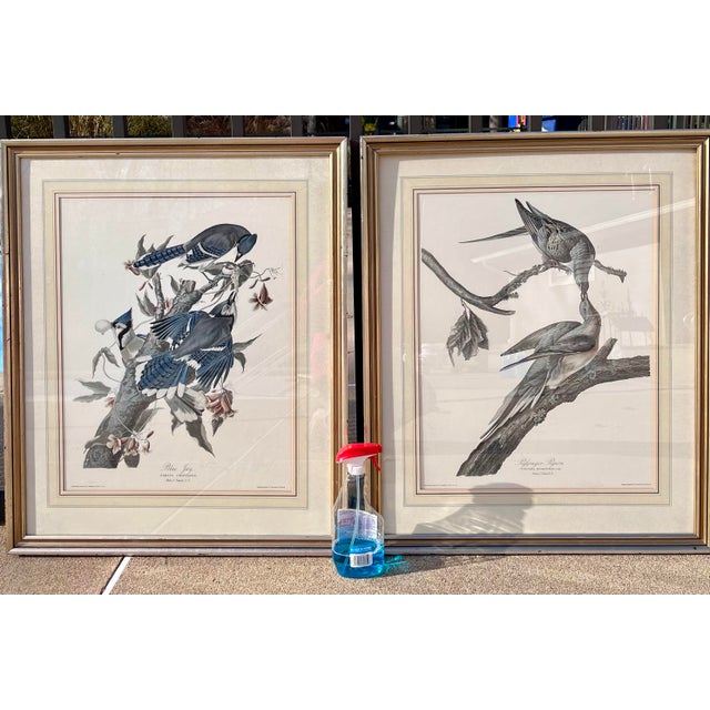 This is a vintage set of large, high-quality reproductions of R. Havell's hand-colored engravings from Audubon’s "Birds of...