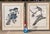 This is a vintage set of large, high-quality reproductions of R. Havell's hand-colored engravings from Audubon’s "Birds of...