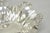 Vintage Victorian Silver Plated Scalloped Candy Dish Fruit Bowl Berry Design For Sale - Image 10 of 17