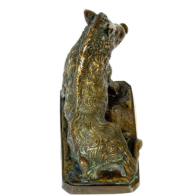 Late 19th Century Italian Grand Tour Bronze “Porcellino” Boar After Pietro Tacca, Florence, 19th C For Sale - Image 5 of 10