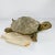 Vintage Snapper Turtle Large Trinket Box Figurine Removable Shell 1970 For Sale - Image 9 of 12
