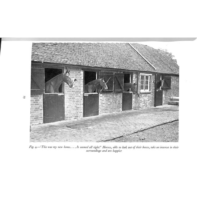 "Holly: The Education of a Pony" 1949 Wynmalen, Julia (Inscribed) For Sale - Image 10 of 10