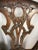 Carved Mahogany Chippendale Dining Chairs, Set of 6, White Faux Leather For Sale - Image 11 of 12