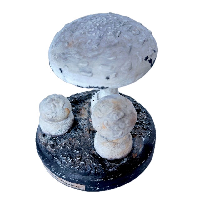 Vintage plaster-like mushroom sculpture for a scientific botanical study used for classrooms. Marked "Amanita Virosa" on...