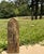 Antique Thai Buddhist Votive Plaque For Sale - Image 15 of 15