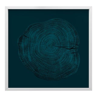 Stump 1 - Variation 15 by Trinette + Chris Print with White Frame - 50 X 50 For Sale