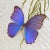 Mid-Century Modern Mid-Century Modern Large Framed Butterfly Artwork For Sale - Image 3 of 7