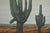 Contemporary Mid 20th Century French Modernist Original Lithograph Signed Framed Cactus Desert Landscape For Sale - Image 3 of 6