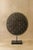 A handcrafted Cameroon shield adorned with natural cowrie shells — historically revered across West Africa as symbols of...