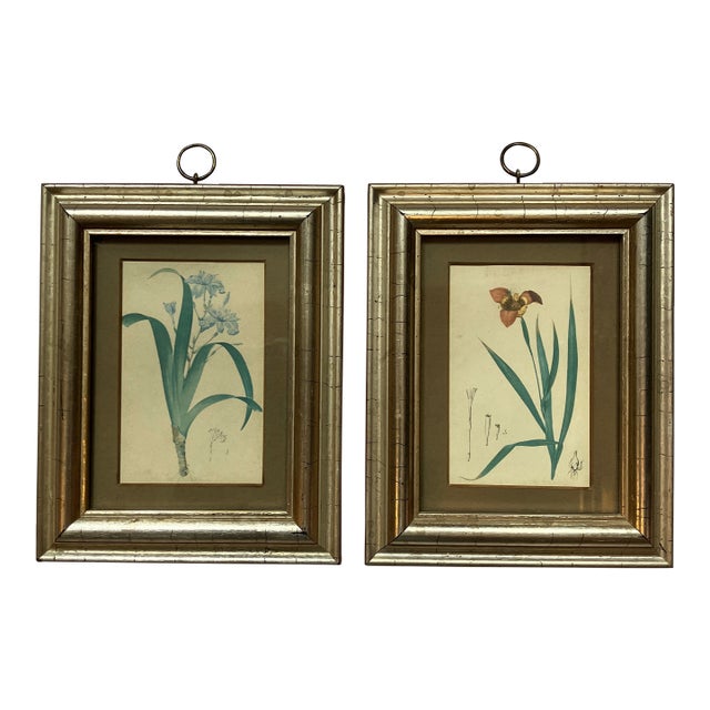 1970’s 2 Small Botanical Floral Prints Nicely Framed Silver Leaf- A Pair For Sale