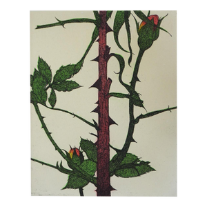 1991 Rose Thorns Colored Etching