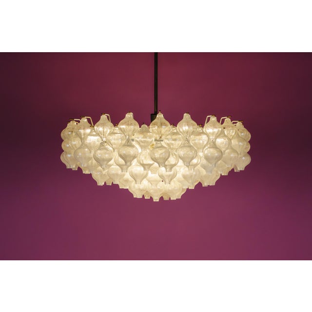 Tulipan Waterfall Glass Chandelier from Kalmar, Austria, 1960s For Sale - Image 15 of 18