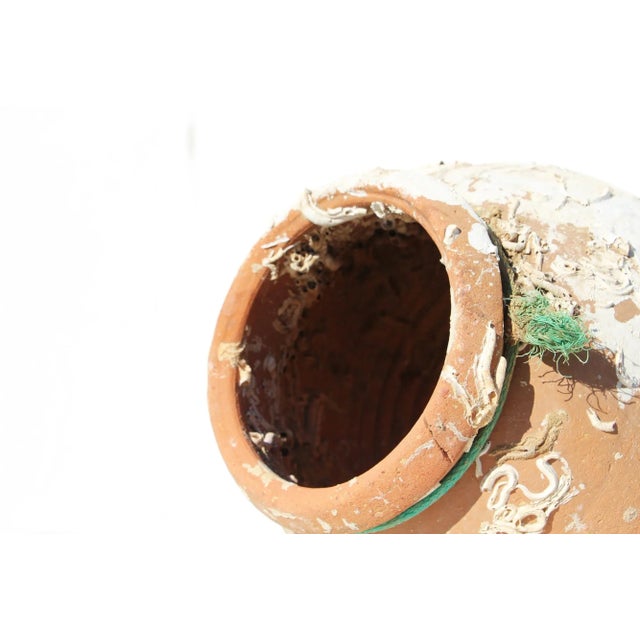 Brown 19th Century Antique Terracotta Octopus Trap Undersea Pot For Sale - Image 8 of 13