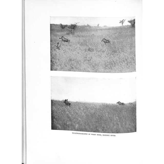 "Camera Adventures in the African Wilds" 1910 Dugmore, A. Radclyffe f.r.g.s. For Sale - Image 10 of 10