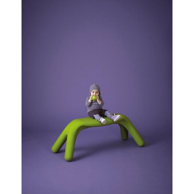 Chocolate Brown Atlas Bench by Giorgio Biscaro For Sale - Image 16 of 18