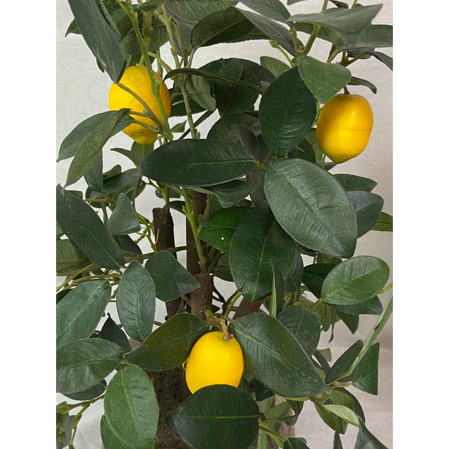 Faux Lemon Trees Ceramic Planters Pair of 2 Chairish